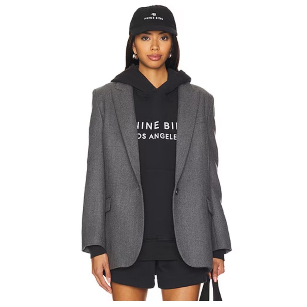 NWOT Anine Bing Alto Hoodie